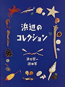 浜辺のコレクション (ふしぎコレクション)(中古品)