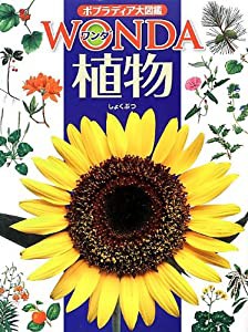 植物 (ポプラディア大図鑑WONDA)(中古品)