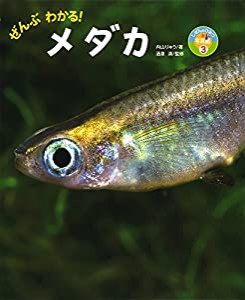 ぜんぶわかる! メダカ (しぜんのひみつ写真館)(中古品)