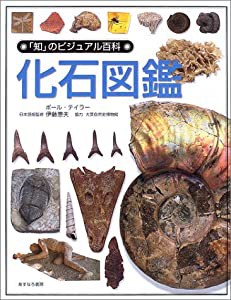 化石図鑑 (「知」のビジュアル百科)(中古品)