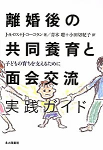 離婚後の共同養育と面会交流 実践ガイド: 子どもの育ちを支えるために(中古品)