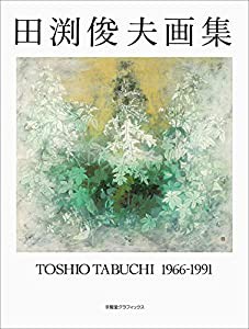田渕俊夫画集 1966‐1991 (求龍堂グラフィックス)(中古品)