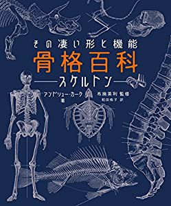 ?格百科 スケルトン  その凄い形と機能(中古品)