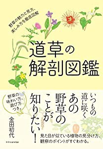 道草の解剖図鑑(中古品)