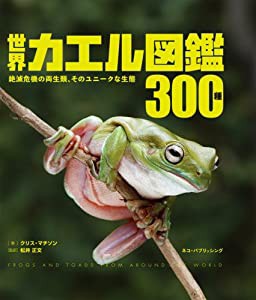 世界カエル図鑑300種(中古品)