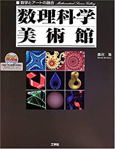 数理科学美術館 数学とアートの融合(中古品)