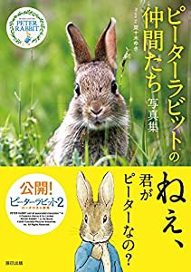 ピーターラビット?の仲間たち 写真集(中古品)