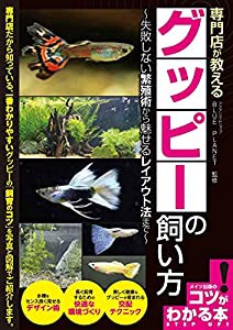 グッピー 水槽 レイアウトの通販｜au PAY マーケット