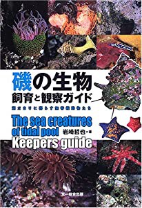 磯の生物飼育と観察ガイド―潮だまりに暮らす無脊椎動物たち(中古品)