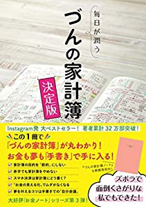 毎日が潤う　づんの家計簿 決定版(中古品)