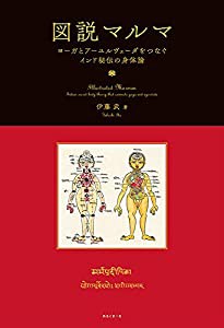 図説マルマ ヨーガとアーユルヴェーダをつなぐインド秘伝の身体論(中古品)