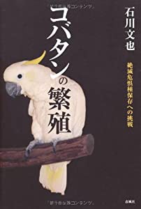 コバタンの繁殖―絶滅危惧種保存への挑戦(中古品)