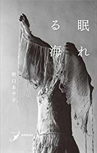 眠れる海 (現代歌人シリーズ17)(中古品)