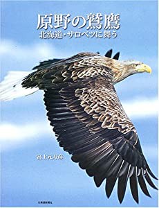 原野の鷲鷹—北海道・サロベツに舞う(中古品)