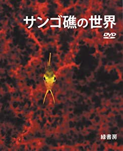 サンゴ礁の世界(中古品)