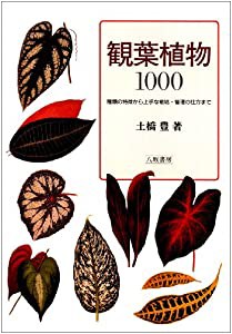 観葉植物1000―種類の特徴から上手な栽培・管理の仕方まで(中古品)