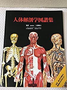 人体解剖学図譜集(中古品)