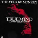 TRUE MIND TOUR ’95〜’96 FOR SEASON:in motion [DVD](中古品)