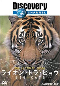 ディスカバリーチャンネル The Ultimate Guide ライオン・トラ・ヒョウ [DVD](中古品)