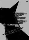DOBERMAN DVD(中古品)
