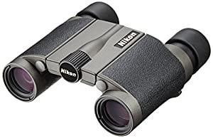 Nikon 双眼鏡 HG Lシリーズ 8×20HG L DCF ダハプリズム式 8倍20口径 8X20HGL (日本製)(中古品)