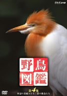 野鳥図鑑 第4集 [DVD](中古品)