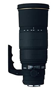 シグマ 120-300mm F2.8 APO EX DG HSM ニコン用(中古品)