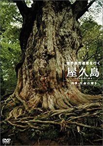 世界自然遺産 屋久島 ~四季・生命の輝き~ [DVD](中古品)