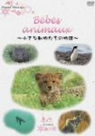 NHK DVD Bebes d’animaux-小さな動物たちの物語-(中古品)