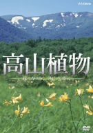 高山植物/花々が咲く、名山を歩く [DVD](中古品)