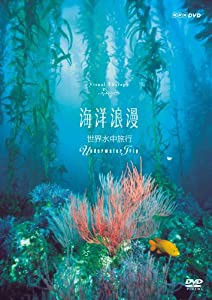 NHK DVD 海洋浪漫―世界水中旅行― ~Underwater Trip~(中古品)