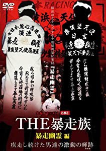 実録ドキュメント893 THE 暴走族 「暴走幽霊」編 [DVD](中古品)