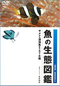魚の生態図鑑 [DVD](中古品)