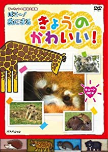 NHKDVD ダーウィンの動物大図鑑 はろ~!あにまる きょうのかわいい! キュートBOX(中古品)