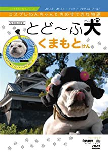 とどーふ犬 くまもとけん [DVD](中古品)