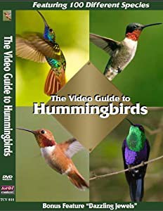 Video Guide to Hummingbirds [DVD](中古品)