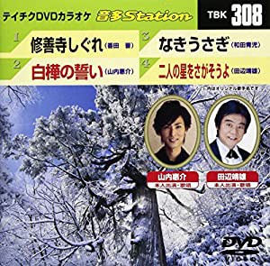 テイチクDVDカラオケ 音多Station(中古品)