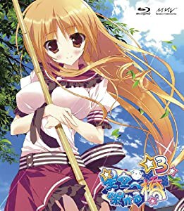 星空へ架かる橋 3(Blu-ray Disc)(中古品)