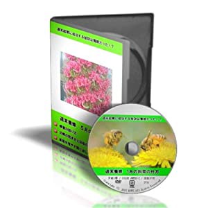 2013年度版 週末養蜂 5月の飼育の仕方 [DVD](西洋蜜蜂)(中古品)