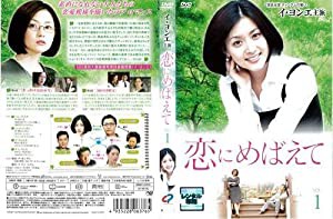 恋にめばえて 1〜12 (全12枚)(全巻セットDVD) [字幕]｜中古DVD [レンタル落ち] [DVD](中古品)