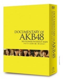 DOCUMENTARY OF AKB48 NO FLOWER WITHOUT RAIN 少女たちは涙の後に何を見る? コンプリートDVD-BOX【DVD4枚組】(中古品)