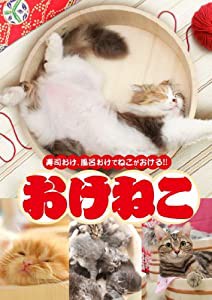 おけねこ [DVD](中古品)