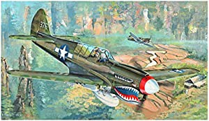 トランペッター 1/32 P-40N ウォーホーク プラモデル 02212(中古品)