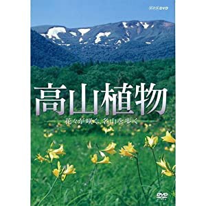 高山植物 〜花々が咲く名山を歩く〜【NHKスクエア限定商品】(中古品)