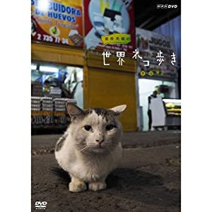 岩合光昭の世界ネコ歩き　チリ　DVD【NHKスクエア限定商品】(中古品)