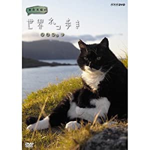 岩合光昭の世界ネコ歩き　ノルウェー　DVD【NHKスクエア限定商品】(中古品)