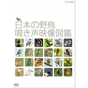 日本の野鳥 鳴き声映像図鑑 DVD【NHKスクエア限定商品】(中古品)