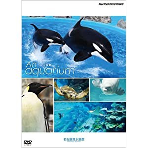 An Aquarium −水族館 〜名古屋港水族館〜　DVD【NHKスクエア限定商品】(中古品)