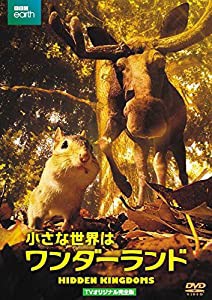 小さな世界はワンダーランド　TVオリジナル完全版（2枚組） [DVD](中古品)