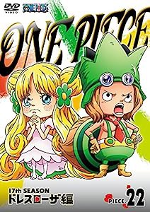 ONE PIECE ワンピース 17THシーズン ドレスローザ編 piece.22 [DVD](中古品)